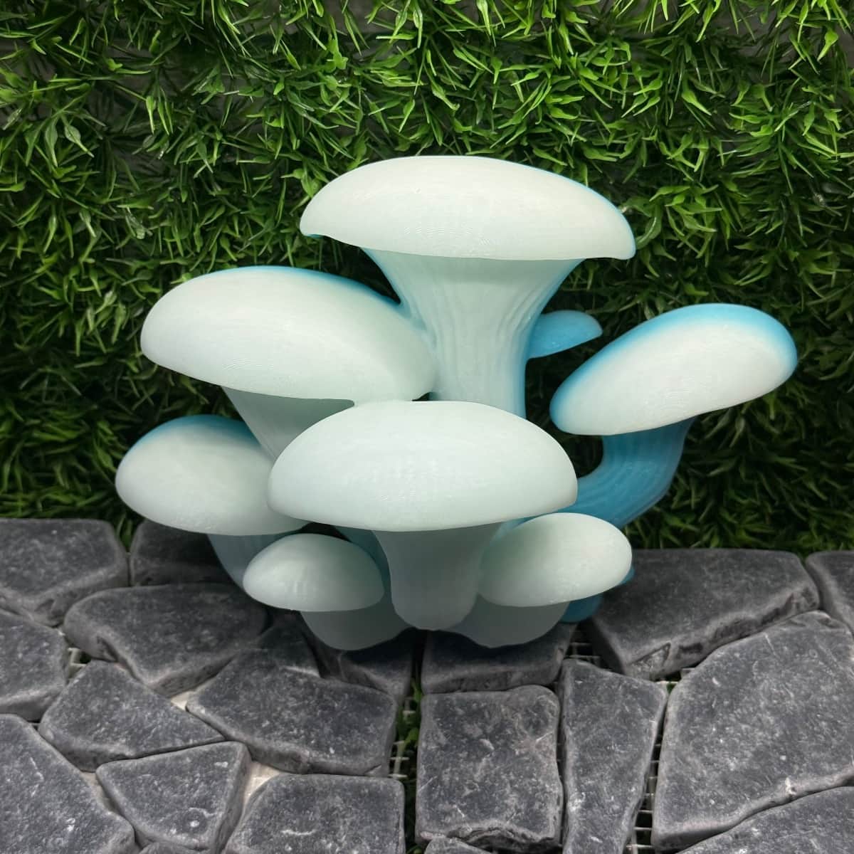 Mushroom Ledge