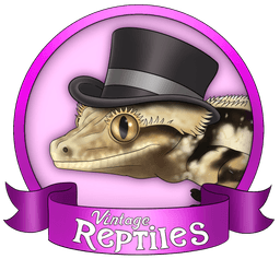 Vintage Reptiles