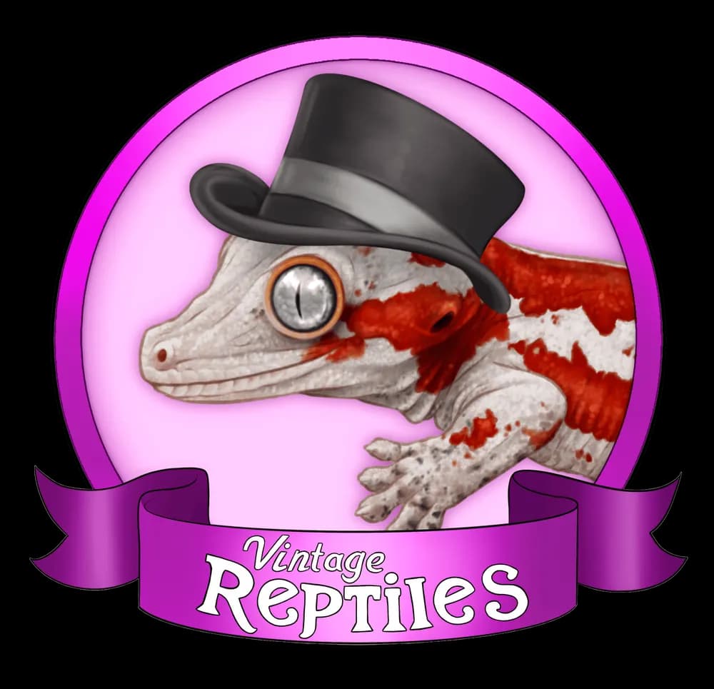 Vintage Reptiles