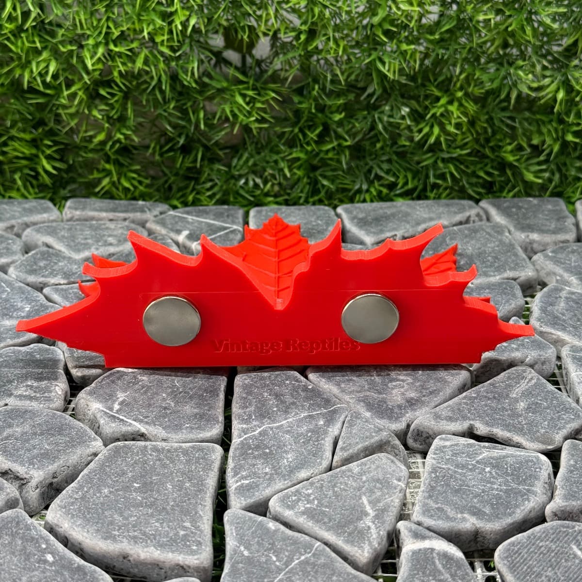 Maple Leaf Ledge, adjacent image