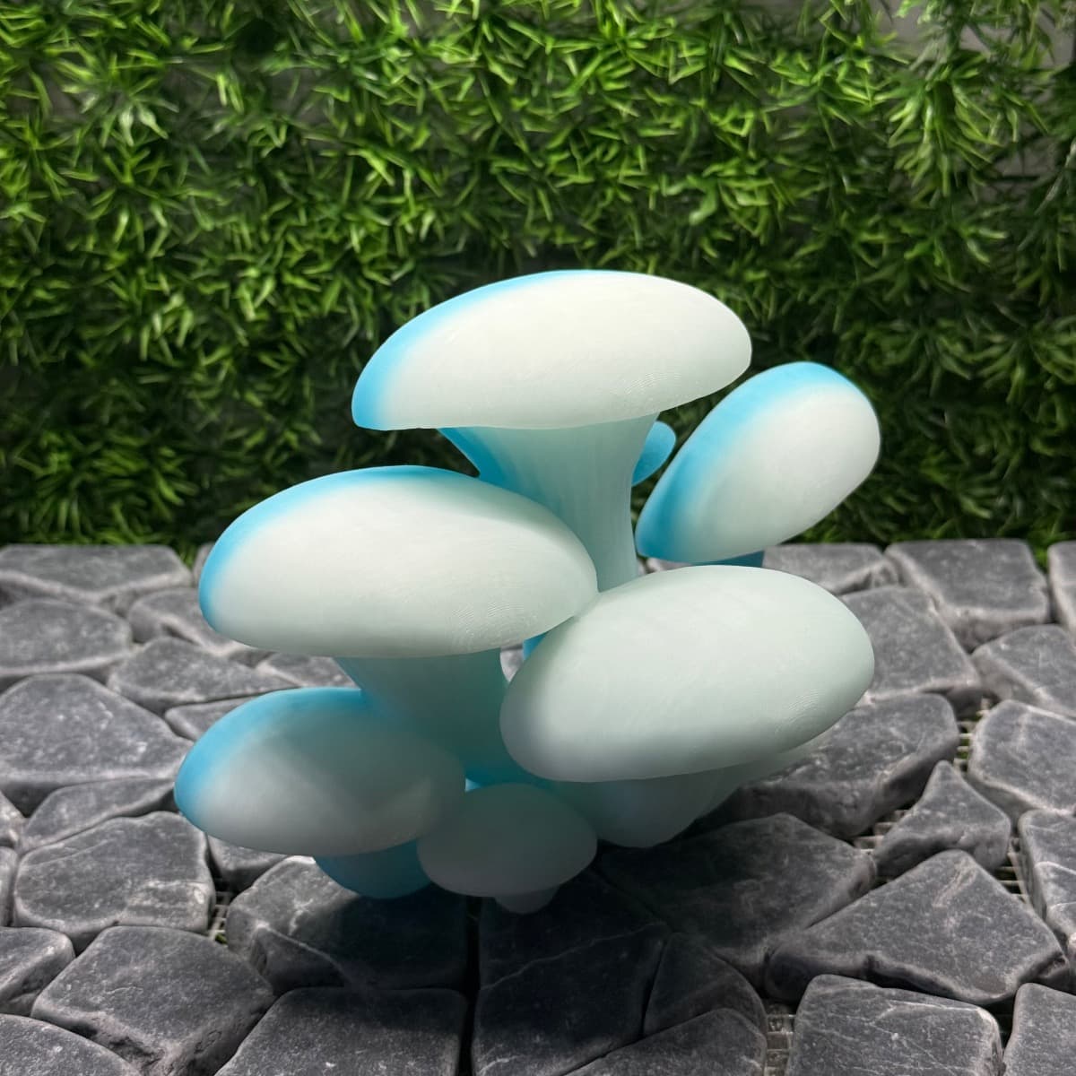 Mushroom Ledge, adjacent image