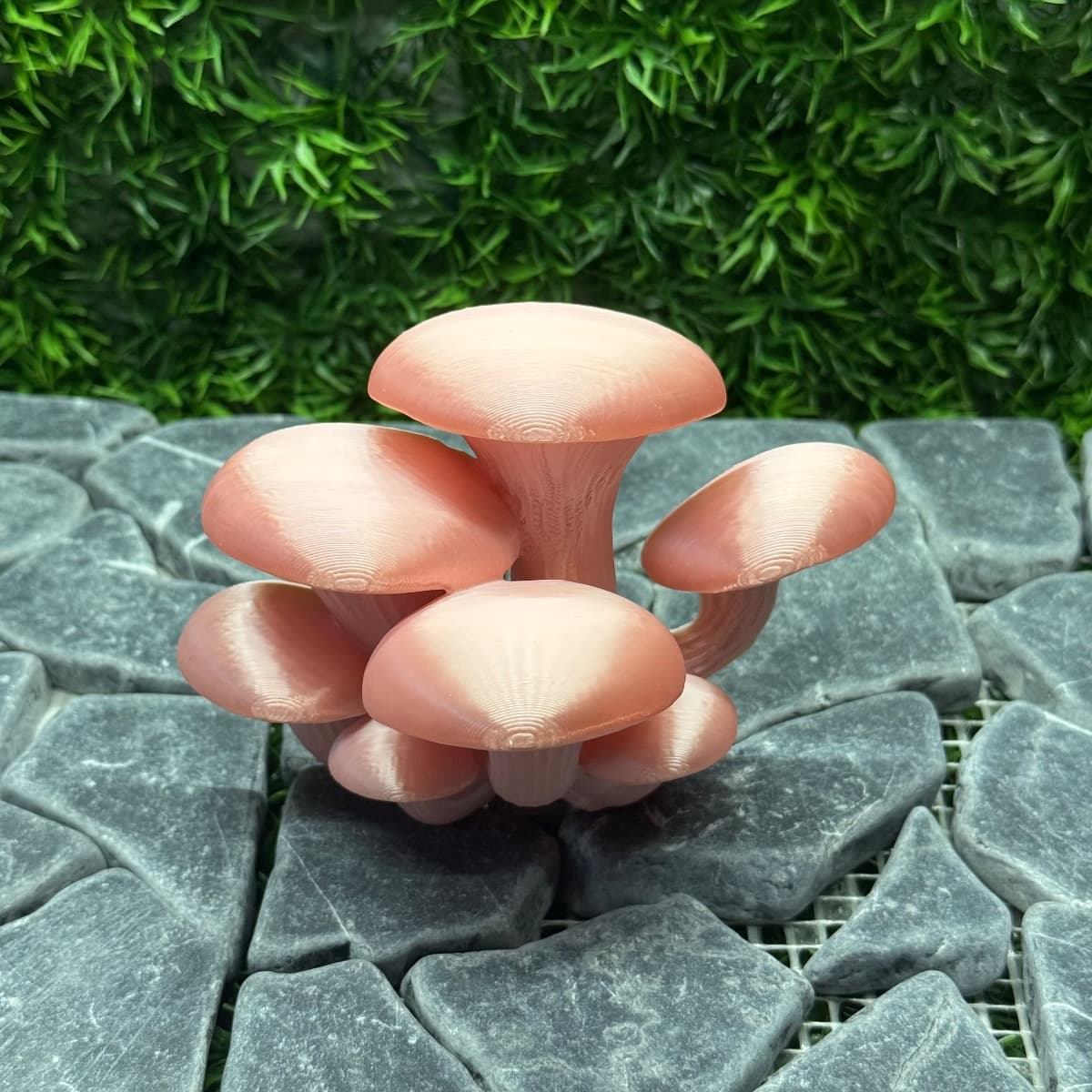 Mushroom Ledge, adjacent image