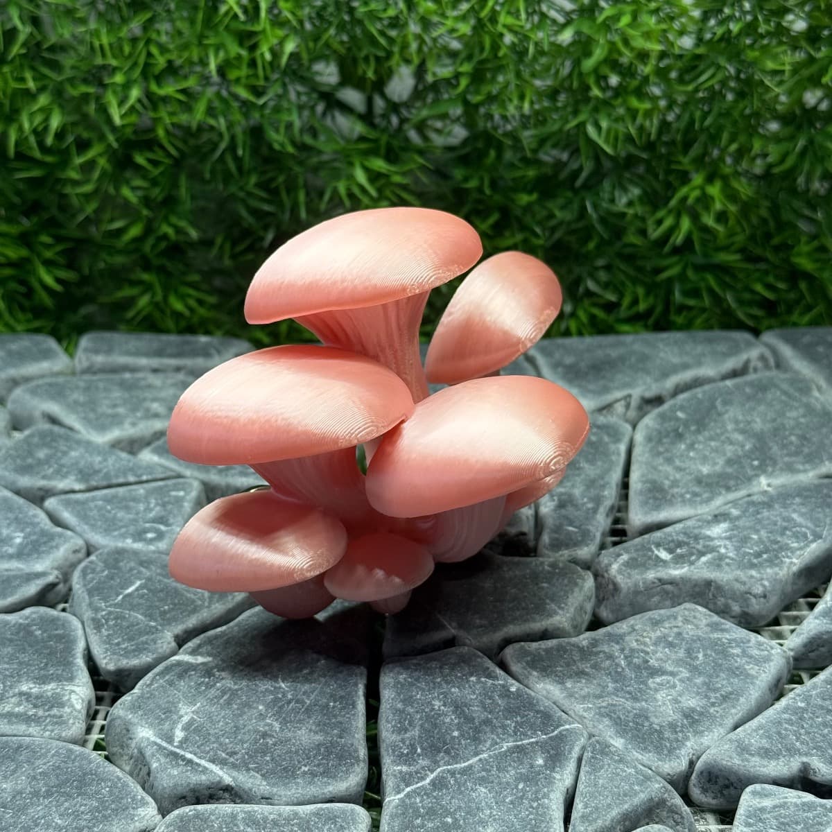 Mushroom Ledge, adjacent image